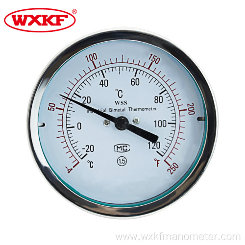 High quality stainless steel industryTemperature Gauge